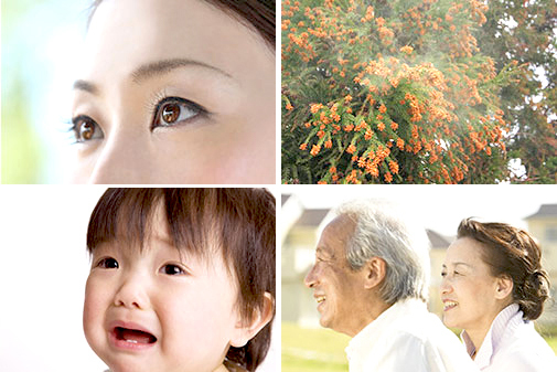 ごたんだ眼科クリニック