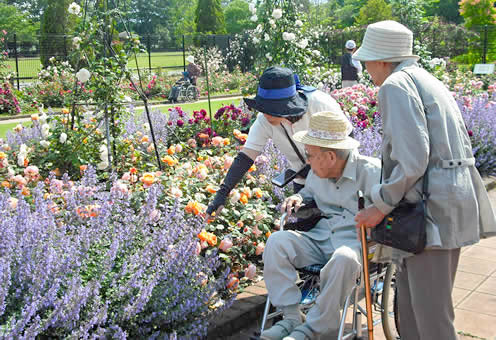 ハーモニーハウス津