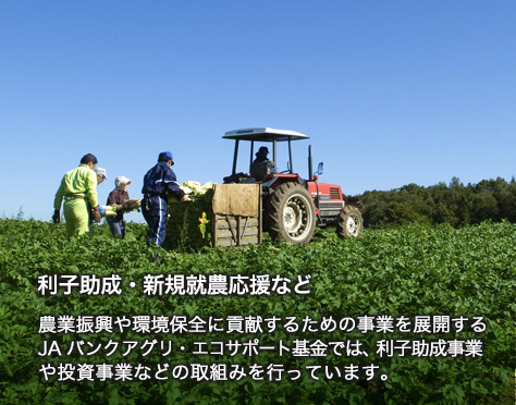 JAあさか野 本店