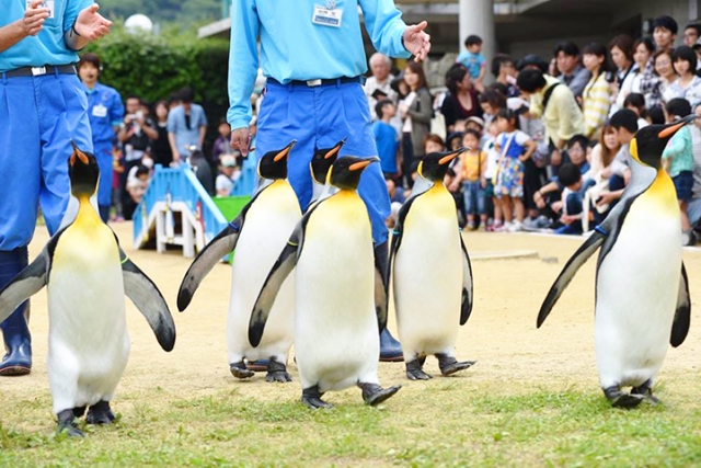 長崎ペンギン水族館