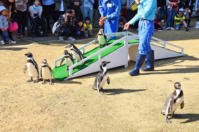 長崎ペンギン水族館
