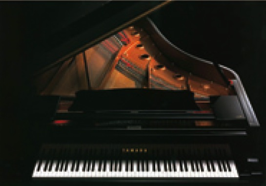 スガナミ楽器町田店