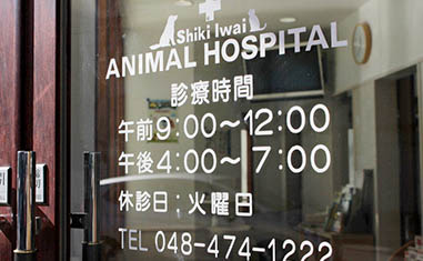 志木いわい動物病院