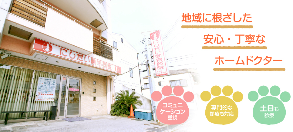 にしだい動物病院