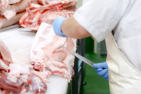 株式会社オイタミート