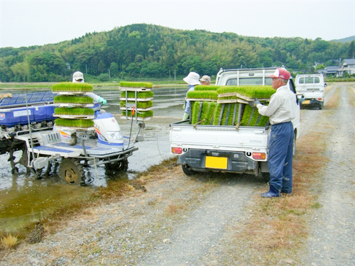 遠賀町シルバー人材センター