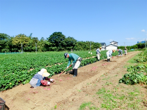 遠賀町シルバー人材センター