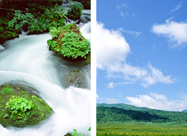 東八商事有限会社