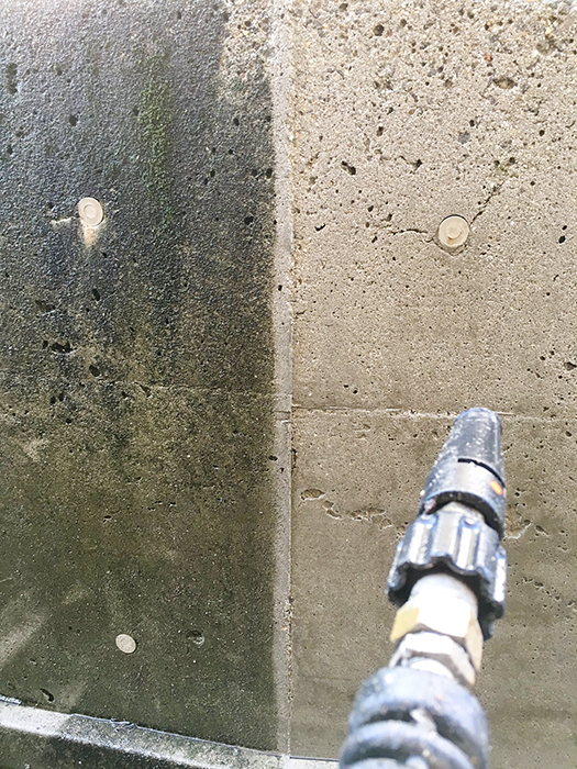 ベンリッコ・アンド・カンパニー株式会社