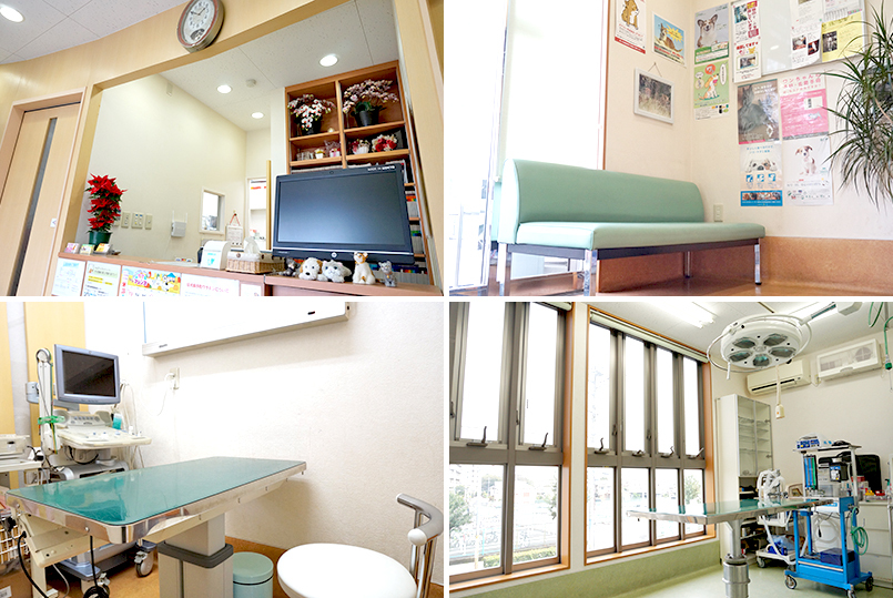 北総どうぶつ病院