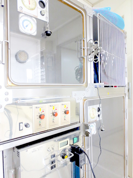 西原動物病院 千葉県鎌ケ谷市 動物病院 E Navita イーナビタ 駅周辺 街のスポット情報検索サイト