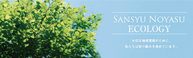 三州野安株式会社 本社