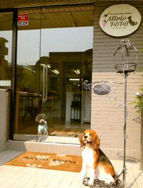 アリヴィオ・ポポ