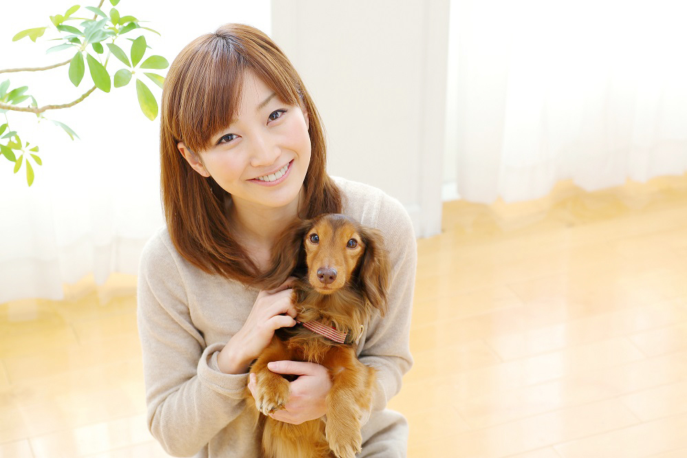 フェニックス動物病院