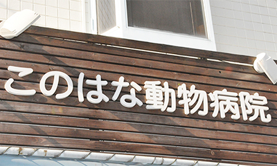 このはな動物病院