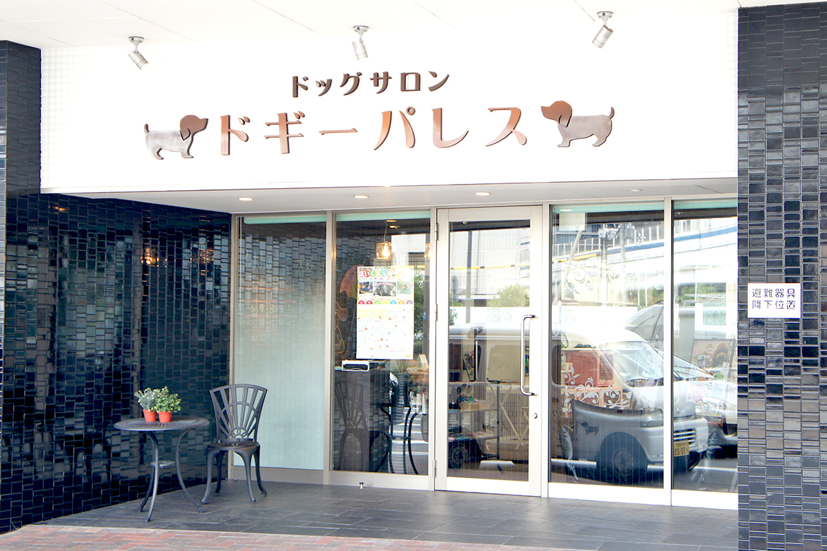 ドギーパレス 神戸ポートタワーホテル店