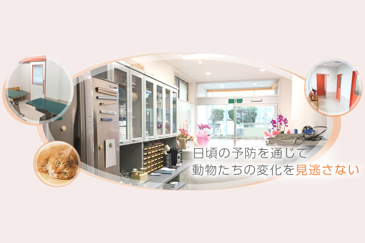 たいよう動物クリニック