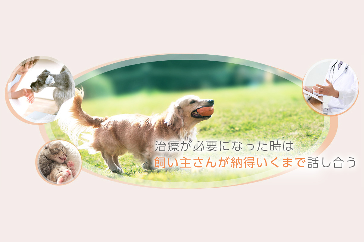 たいよう動物クリニック