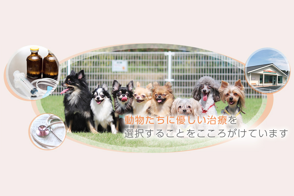 たいよう動物クリニック