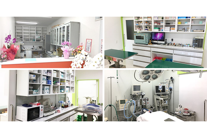 たいよう動物クリニック