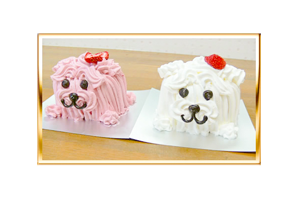 Pet Town 愛知県名古屋市千種区 ペット E Navita イーナビタ 駅周辺 街のスポット情報検索サイト