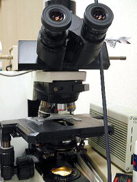 菊池クリニック