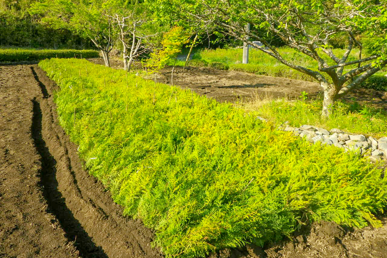 大田原市森林組合