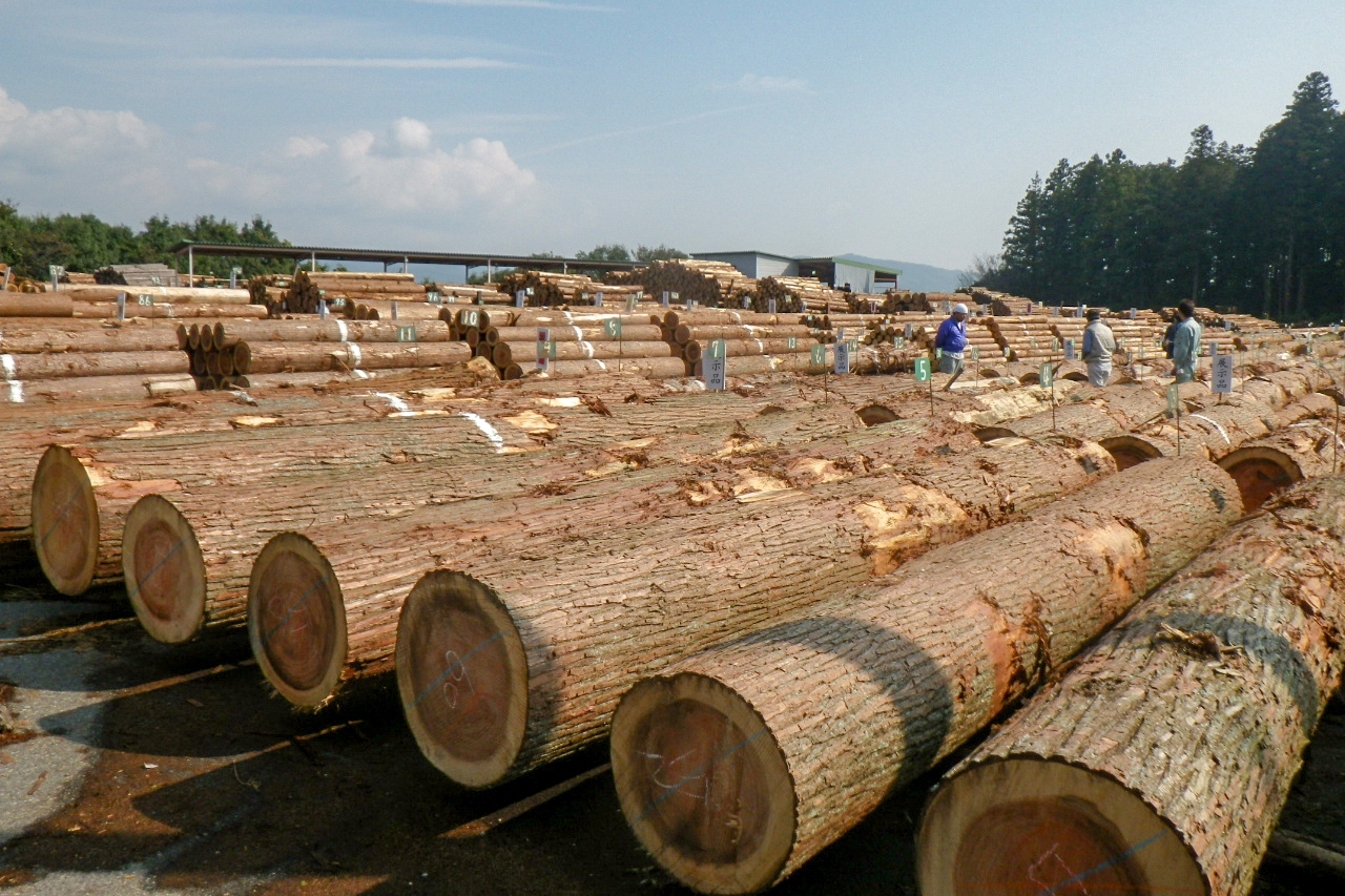 大田原市森林組合