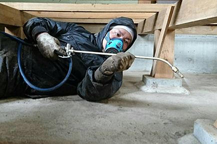 ネクストクリーンサービス