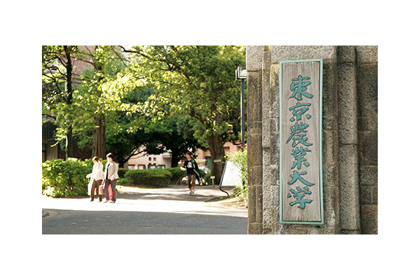 東京農業大学 世田谷キャンパス