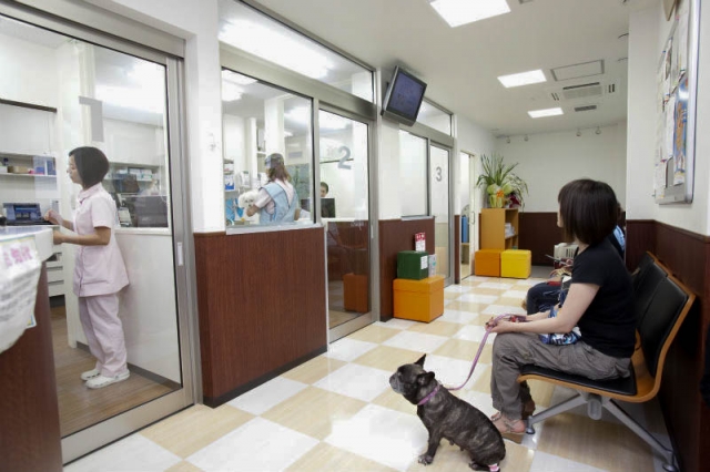 バーニー動物病院 本院