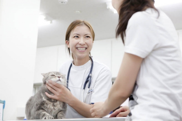 バーニー動物病院 本院