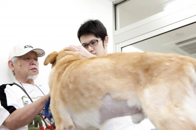 バーニー動物病院 本院
