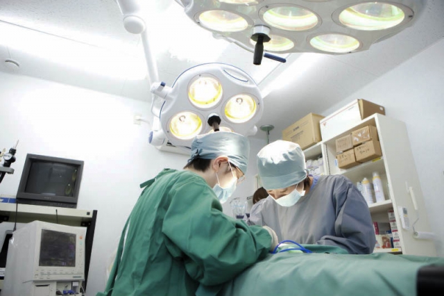 バーニー動物病院 本院