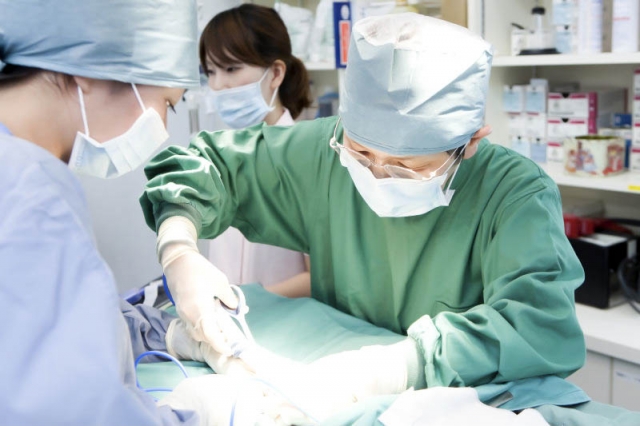 バーニー動物病院 本院