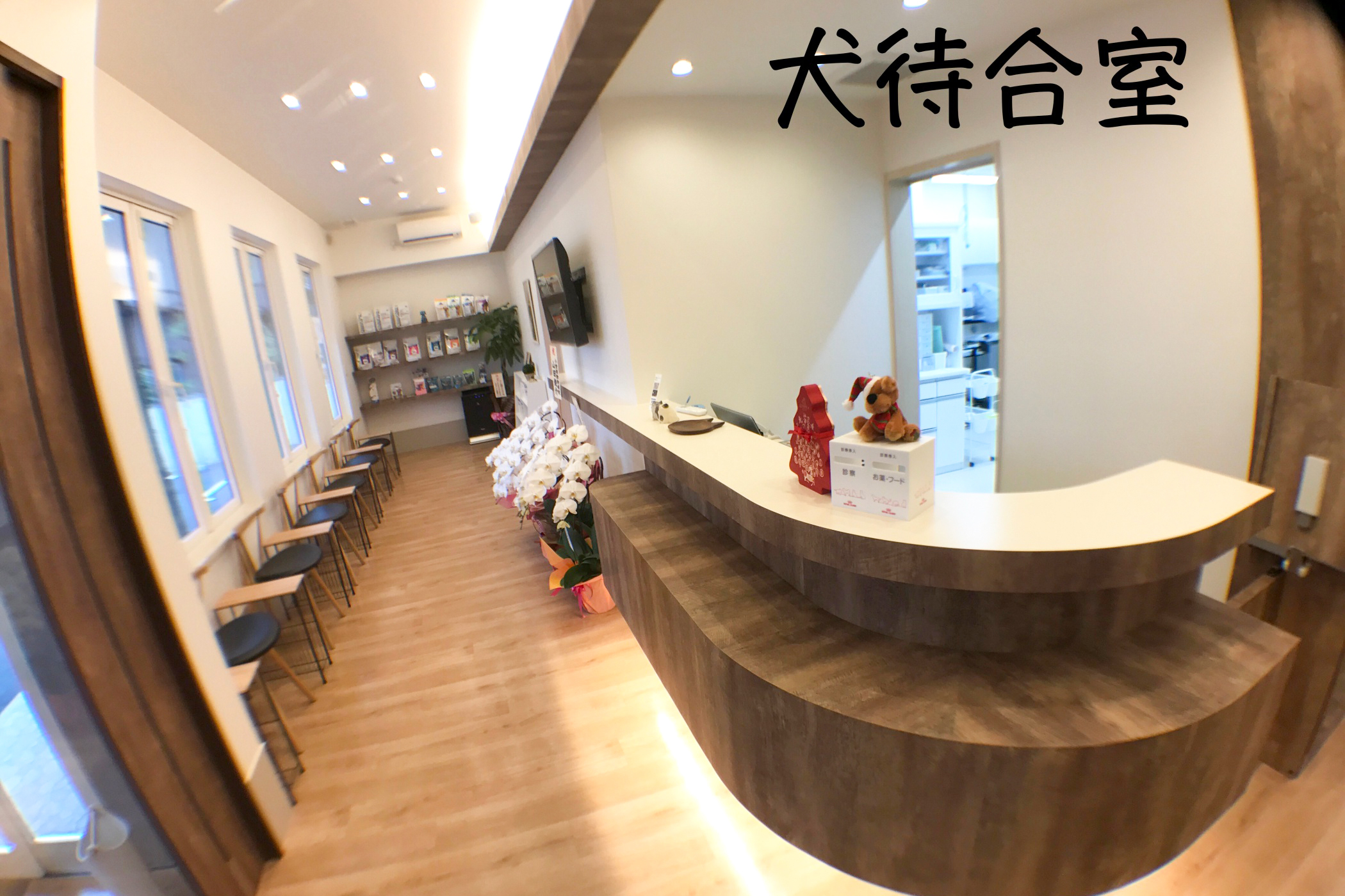 さくら動物クリニック