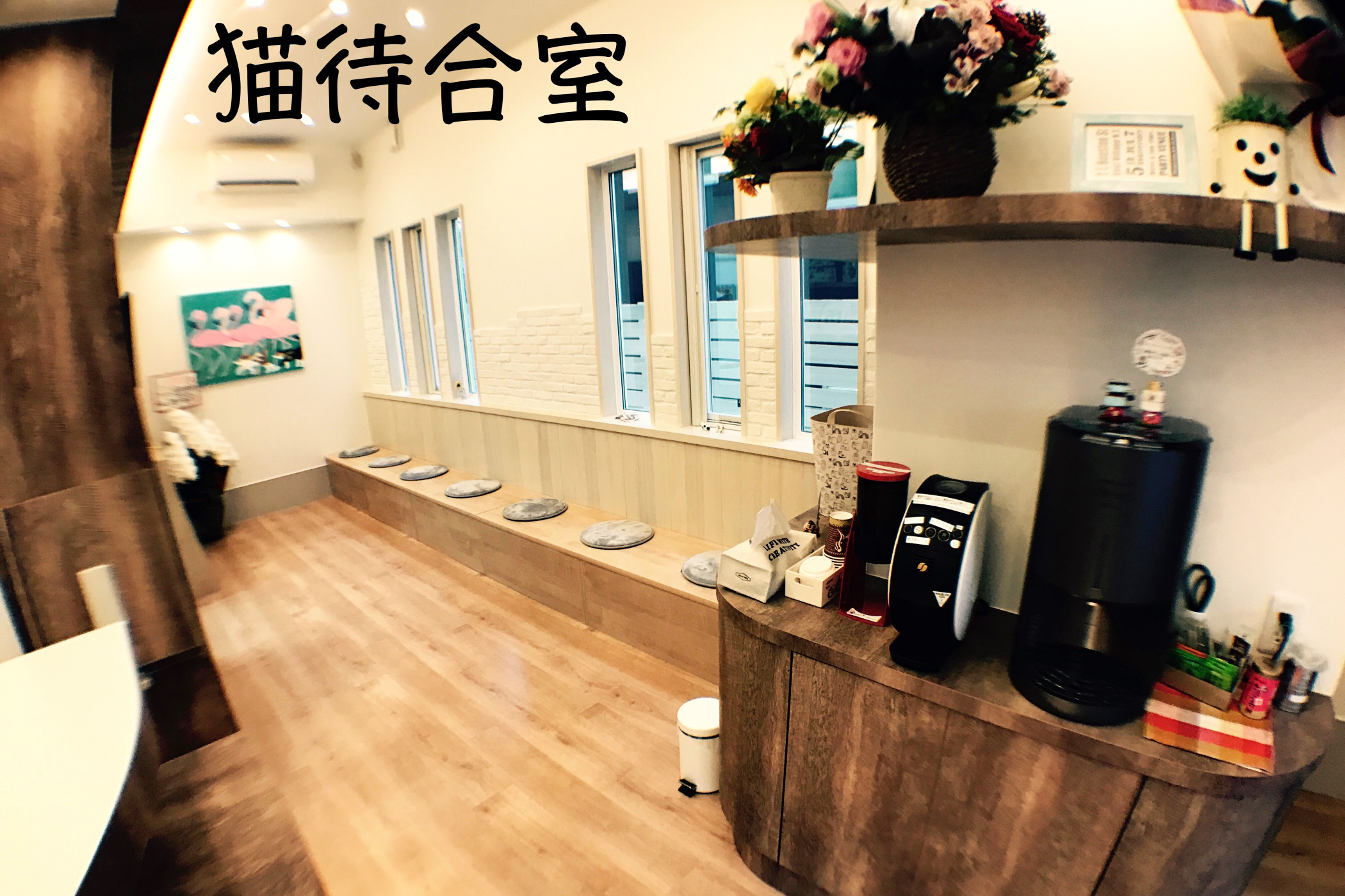 さくら動物クリニック