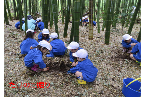 上川井幼稚園