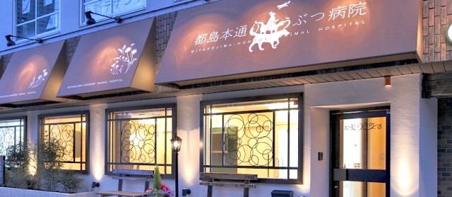 都島本通りどうぶつ病院
