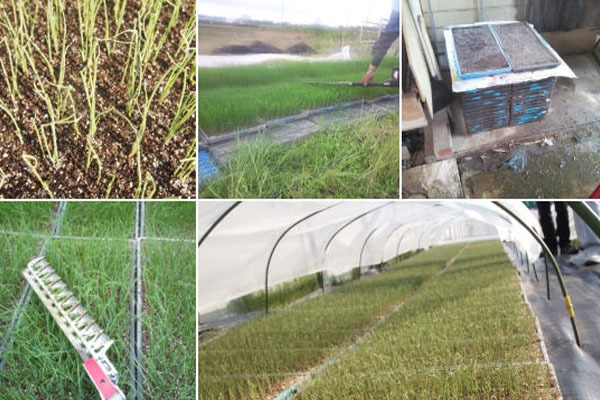 株式会社エイチテクニカ