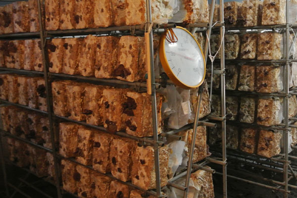 障害者就労センター みなよし