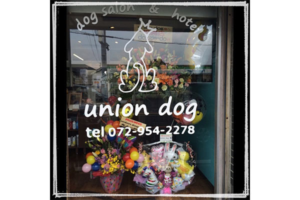 union dog