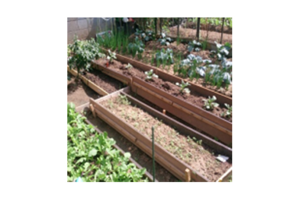 生活支援センター ぽっぷup