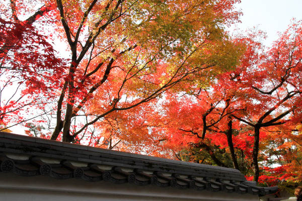 永観堂 禅林寺