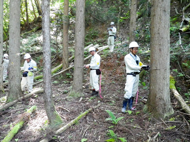 シンワ技研コンサルタント株式会社