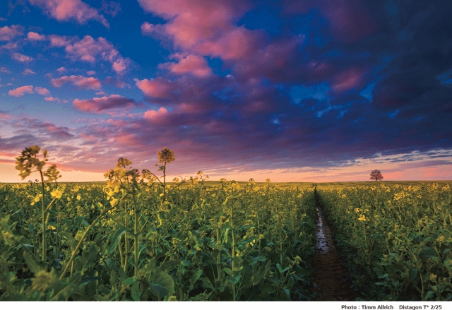 株式会社コシナ 本社