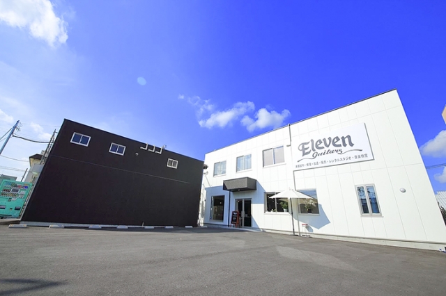 Eleven Guitars