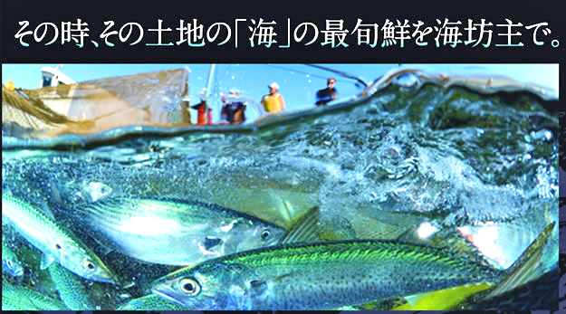 居酒屋海坊主 岸和田駅前店