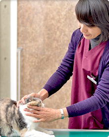 中野動物病院