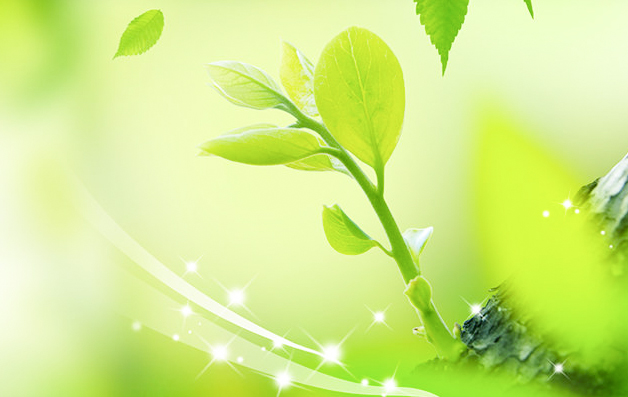 株式会社魚津清掃公社